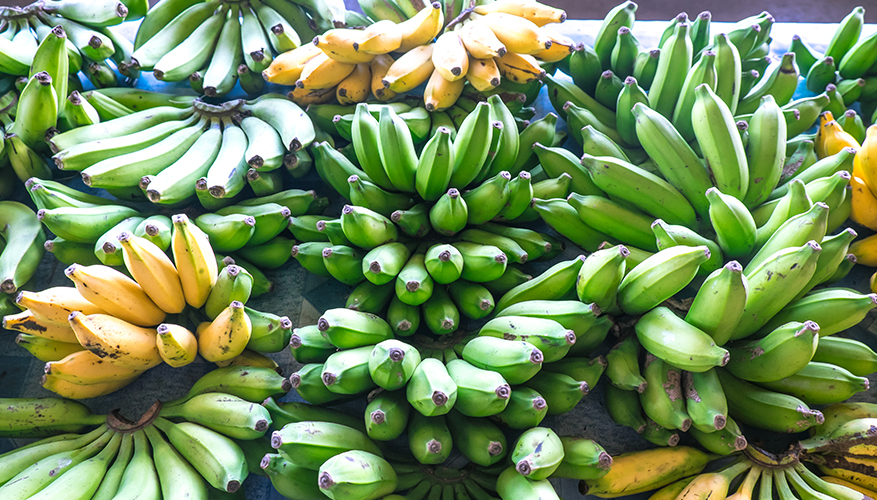 Bananas at Apia's Fugalei Markets 